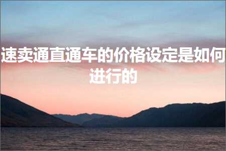 璺ㄥ鐢靛晢鐭ヨ瘑:閫熷崠閫氱洿閫氳溅鐨勪环鏍艰瀹氭槸濡備綍杩涜鐨? width=