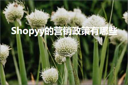 跨境电商知识:Shopyy的营销政策有哪些