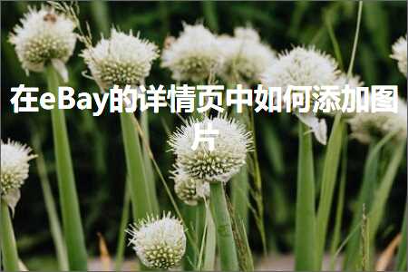 璺ㄥ鐢靛晢鐭ヨ瘑:鍦╡Bay鐨勮鎯呴〉涓浣曟坊鍔犲浘鐗? width=