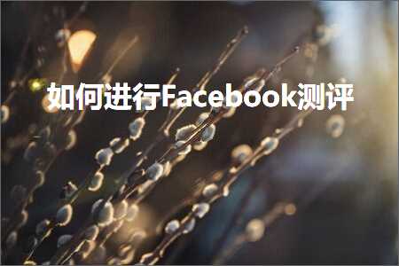 璺ㄥ鐢靛晢鐭ヨ瘑:濡備綍杩涜Facebook娴嬭瘎