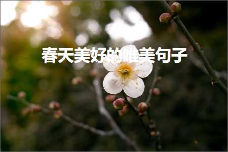 鎻忚堪鍥炲繂鐨勫敮缇庡彞瀛愶紙鏂囨110鏉★級