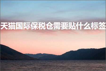 璺ㄥ鐢靛晢鐭ヨ瘑:澶╃尗鍥介檯淇濈◣浠撻渶瑕佽创浠€涔堟爣绛? width=