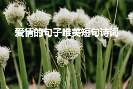 鐖辨儏鐨勫彞瀛愬敮缇庣煭鍙ヨ瘲璇嶏紙鏂囨841鏉★級