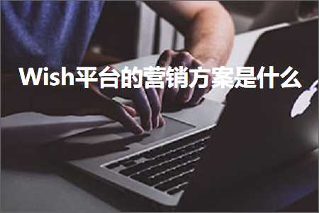 璺ㄥ鐢靛晢鐭ヨ瘑:Wish骞冲彴鐨勮惀閿€鏂规鏄粈涔? width=